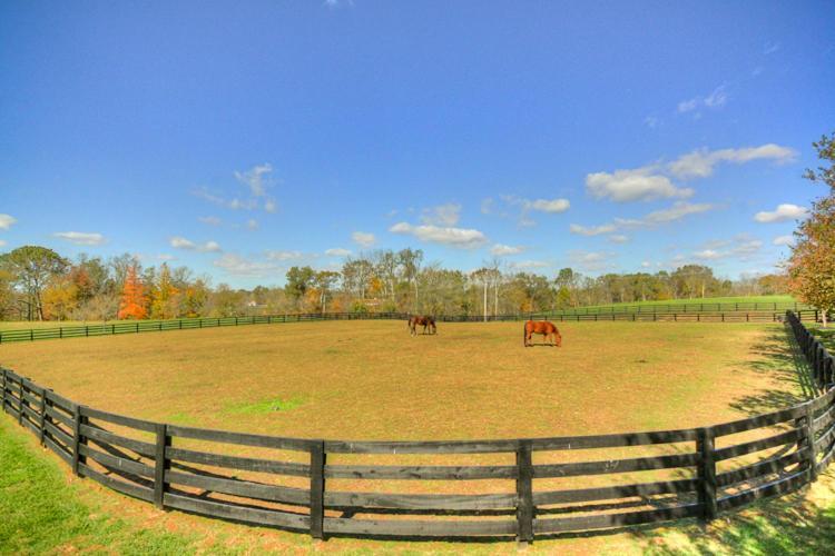 Bed and Breakfast Bluegrass Country Estate La Grange Exterior foto